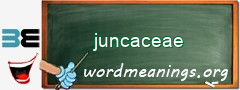 WordMeaning blackboard for juncaceae